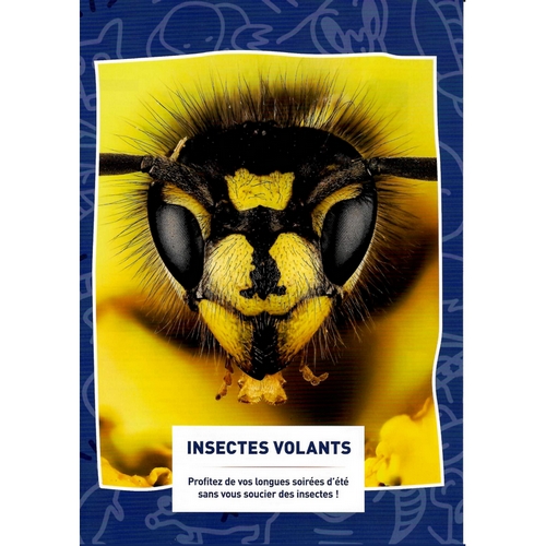 INSECTES VOLANTS